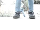Thumbnail #3