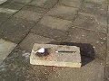 Burning sharpener Burning sharpener