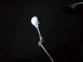 Fases lunares