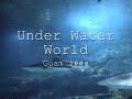Under Water World Guam 2009_0001.wmv