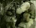 Soulfly-vid