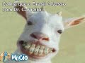 Mucao.com.br - Rapidinha - Dr. Carneiro liga para Virginia