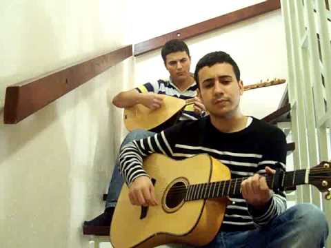 tolga seyhan