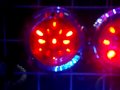 VitaStar汽車/卡車改裝LED燈系列(PChome專賣)