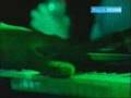 Zero7 -  'Provider'  (Glastonbury 2004) 11of14