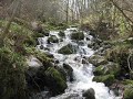 Branko-Olar-Am-kresk
