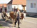 Branko-Olar-Am-kresk