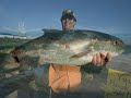 South Padre Live and More