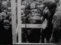 Unionization-at-Ford