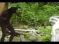 Olisi - The Making - Rosalio Gingoyon as Sirum