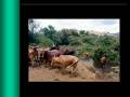 videos de Annie - powerpoint - Rawanda