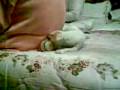 videos de bianka con la palla
