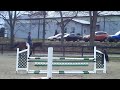 Skip sale horse