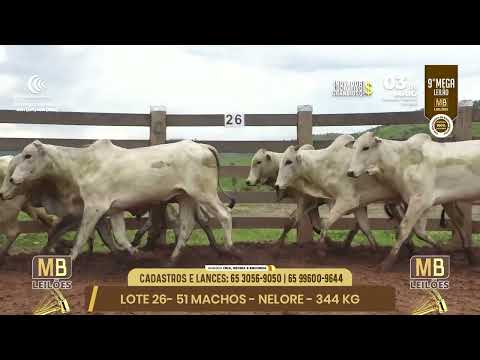 9� MEGA LEIL�O DA MB LEIL�ES
