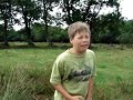 Maggots eating a dead cow Maggots eating a dead cow