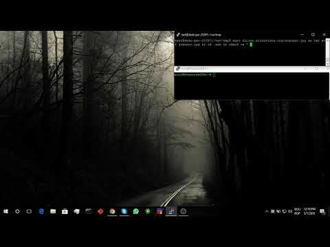 動画