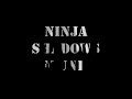 Ninja Shadow Found On Club Penguin!