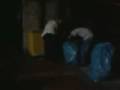 videos de marco el monnezza