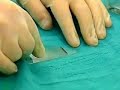 Biologia - Fisiologia - O sangue Biologia - Fisiologia - O sangue
