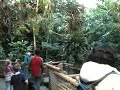 WoodLand Park Zoo - Tropical Rain Forest.