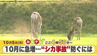 みんテレ