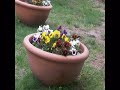 COMPLEJO LOS CEREZOS MZA.flv