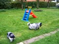 Rhenus T-Wurf-Treffen Rhenus T-Wurf-Treffen