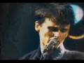 Muse-Muscle-Museum-N