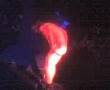 striper en bocaccio 2