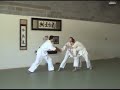 Aikido in Fredericksburg demo video