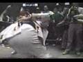 Patera vs Honky Tonk Man