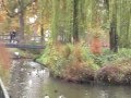 videos de Beeldenstorm 2025