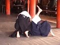 Shibukawa Ryu Jujutsu - 16th Itsukushima Kobudo Enbu Shibukawa Ryu Jujutsu - 16th Itsukushima Kobudo Enbu