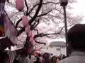 hanami