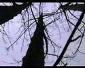 Die Schönheit der Natur - The Beauty of the Nature Die Schönheit der Natur - The Beauty of the Nature