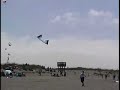 Kite of Seville Kite of Seville