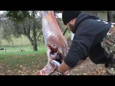 how to skin and quarter a deer