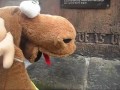 Hildesheim: Reiseführer DRÖHNI zeigt Sehenswürdigkeiten in und um Hildesheim.