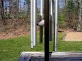 wind-chimes.html