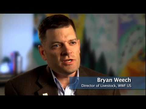 Future of dairy farming