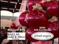 Eyecon Video Productions - Bridal Show
