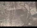 Ranthambore NP; Tiger and Leopard Interaction