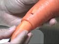 How To Make A Carrot Ocarina