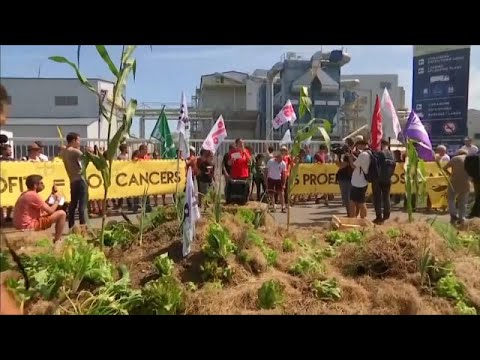 Frankreich: Proteste gegen Monsanto in Peyrehorade