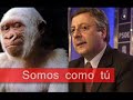 Vota PSOE, mono