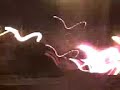 coche ardiendo en el botellon