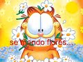 se mando cartas