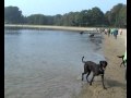Doggen wandeling Bussloo 20-09-2009