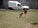 football pizdeks football pizdeks