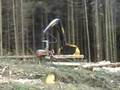 Logmax 12000 on Tigercat